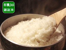 【R4年産 新米】有機JAS認証米（無農薬米）宮城県 登米産 ササニシキ