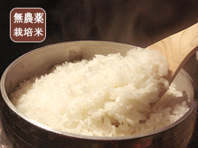 【R3年産新米】無農薬栽培米（無農薬米） 徳島県 コシヒカリ